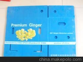 淄博晴天樹包裝制品 專業生產PP中空箱，高品質塑料箱的選擇